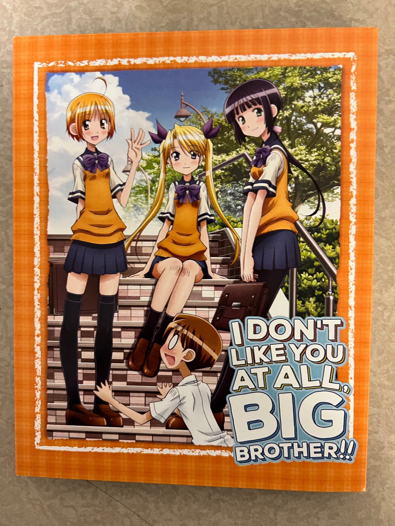 I Don't Like You At All Big Brother!!! [BD] – Media Blasters Storefront