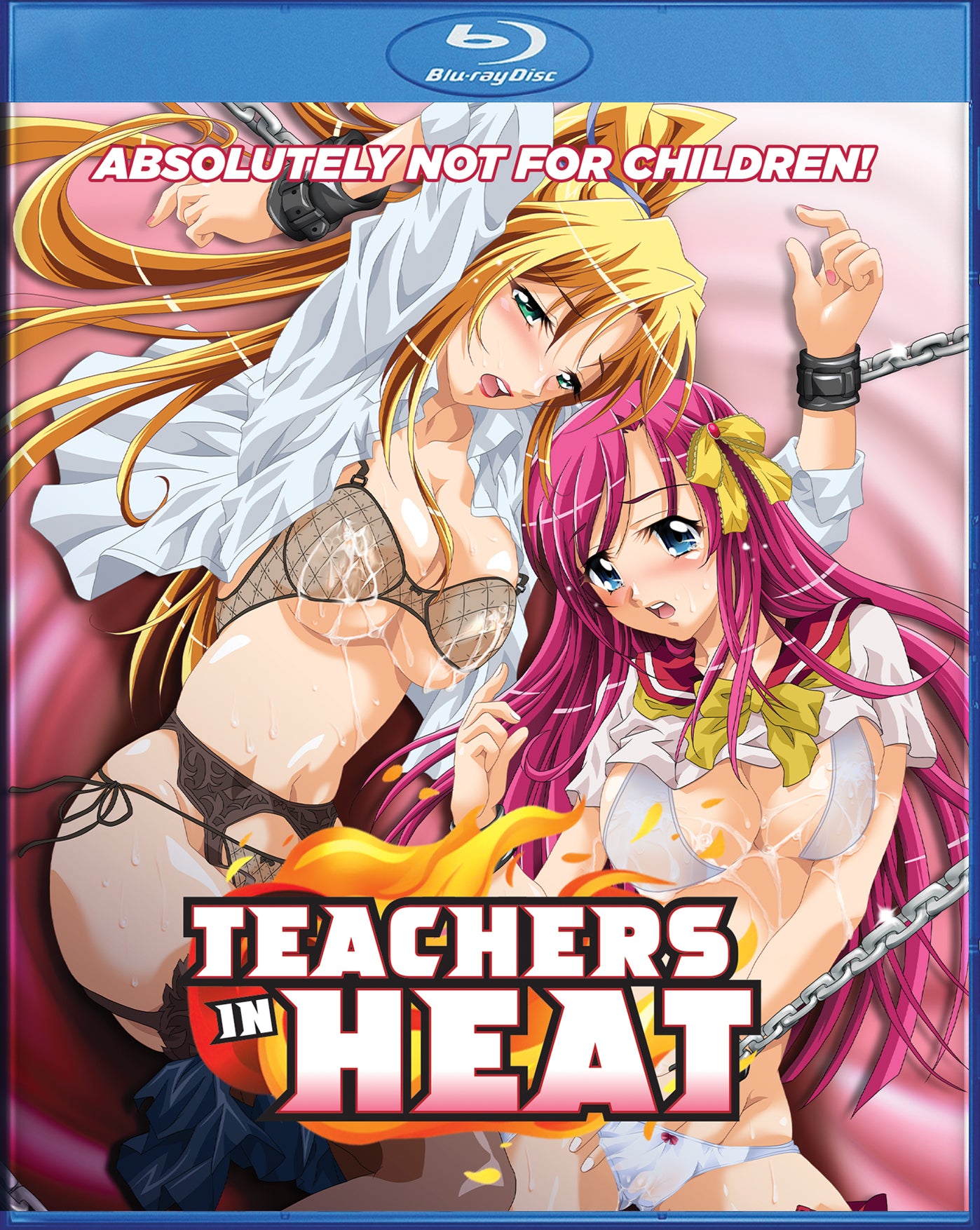 Teachers in Heat [BD]
