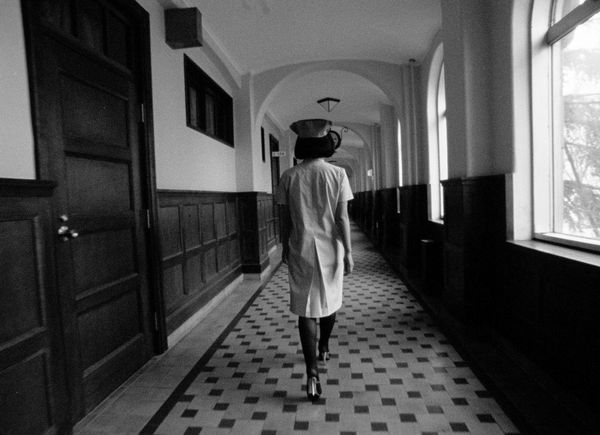 Pinocchio 964 [BD] – Media Blasters Storefront